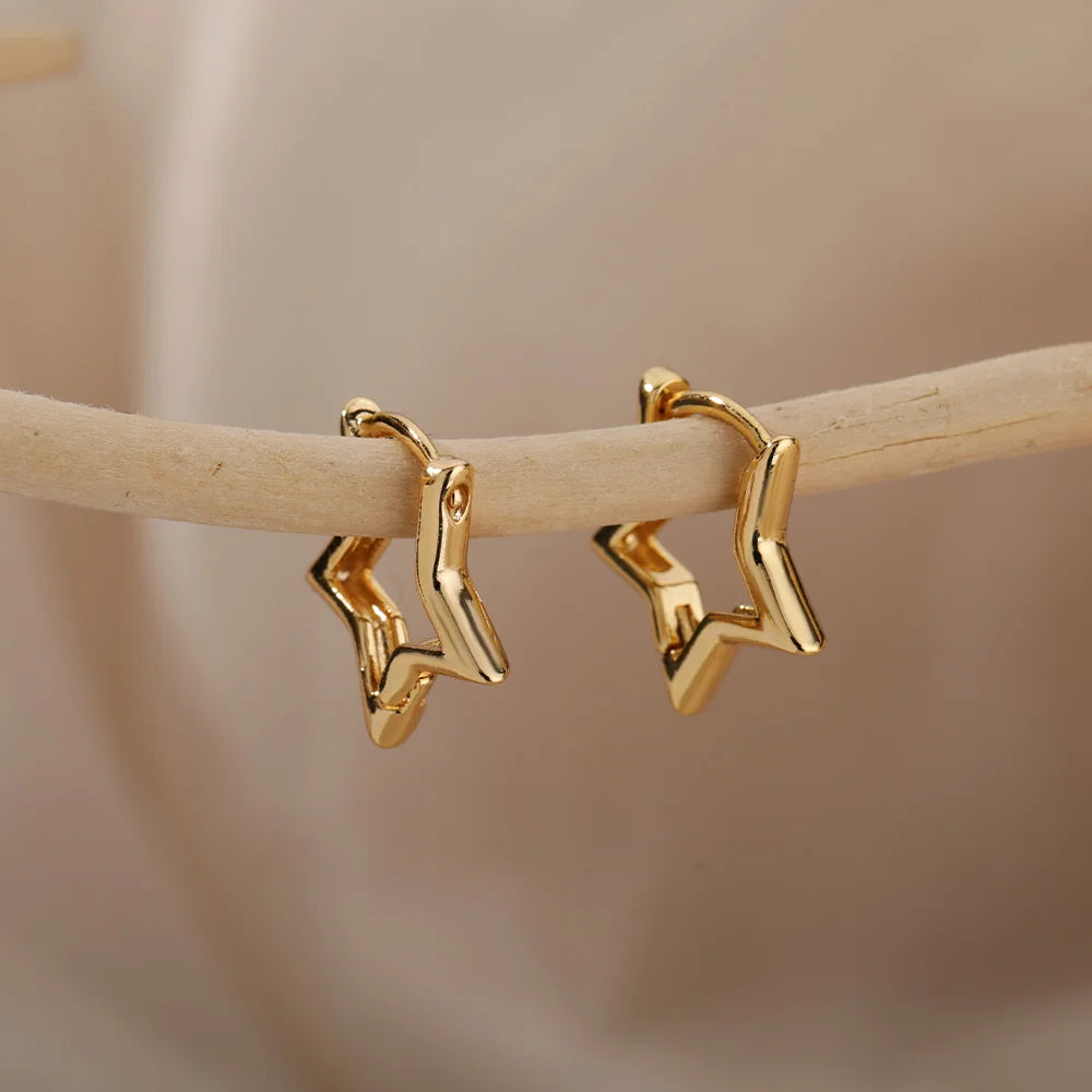 Luxury  Earrings For Women