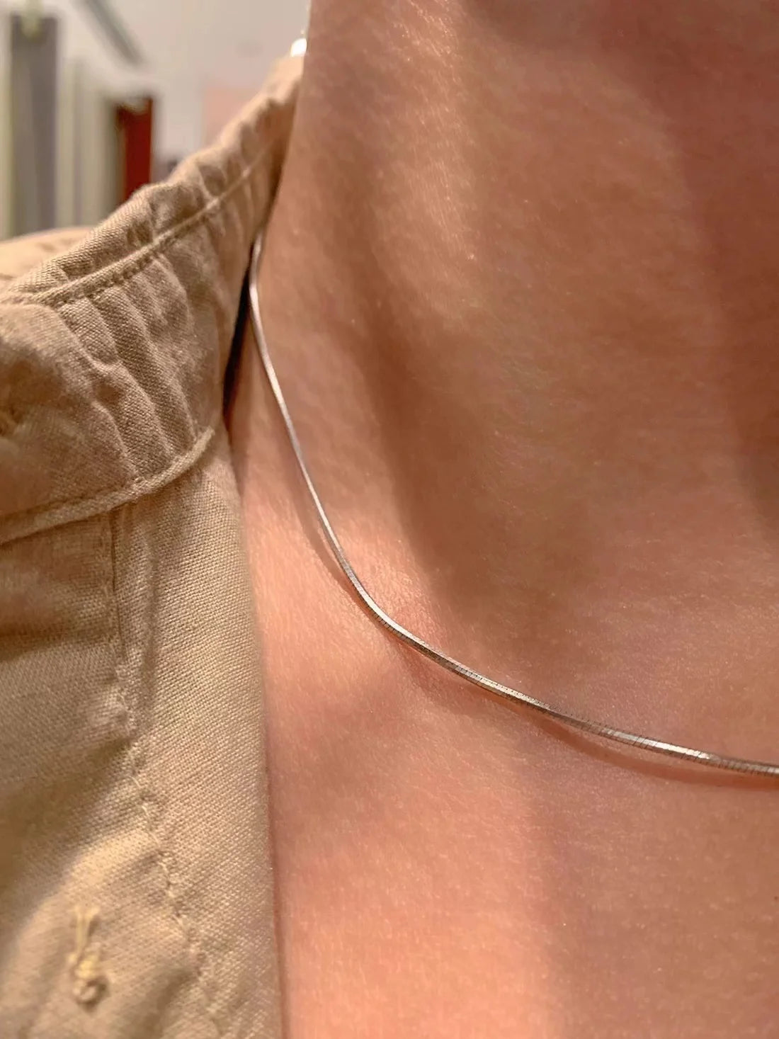 Snake Bone Necklace