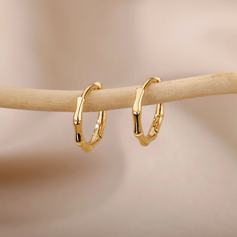 Luxury  Earrings For Women