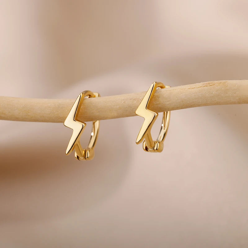 Luxury  Earrings For Women