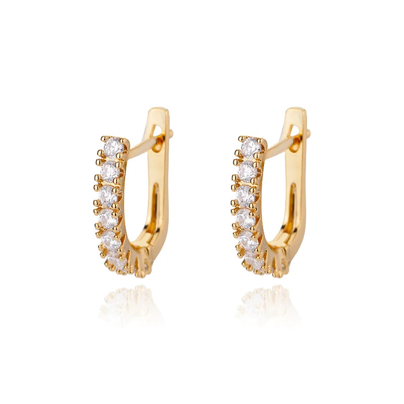 Luxury  Earrings For Women