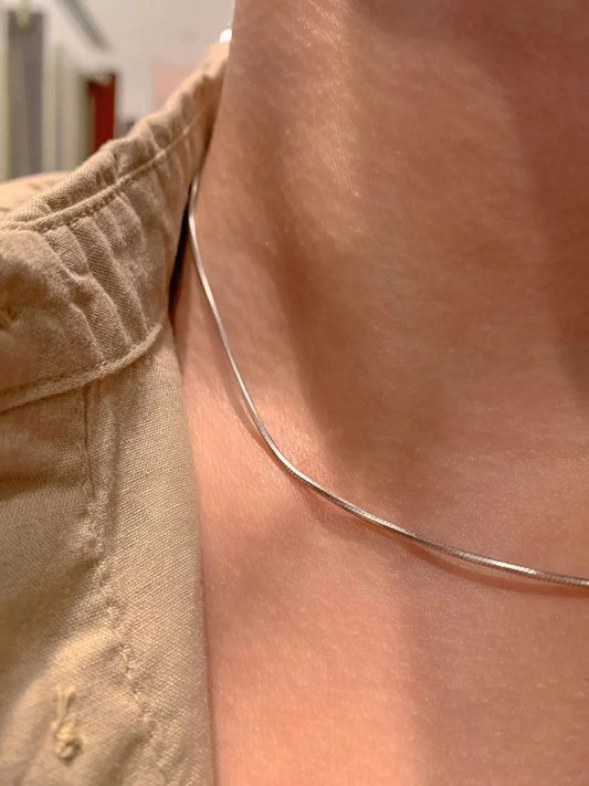 Snake Bone Necklace